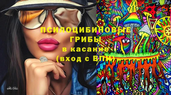 прущий лед Рославль