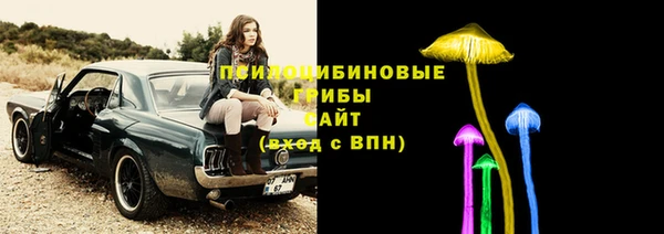 дмт Алзамай