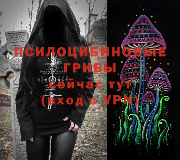 дмт Алзамай