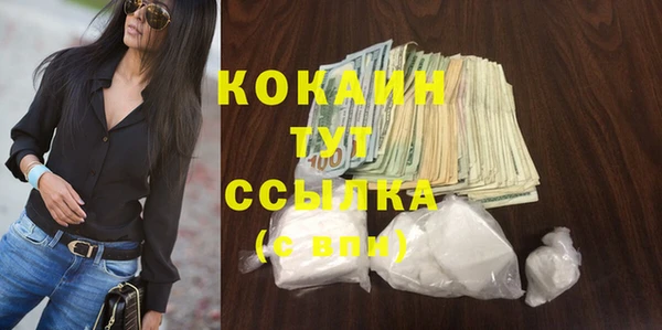 дмт Россошь