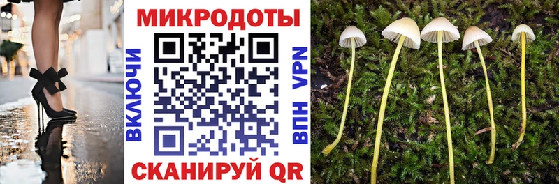 где купить наркотик  Белокуриха  Галлюциногенные грибы Psilocybe 